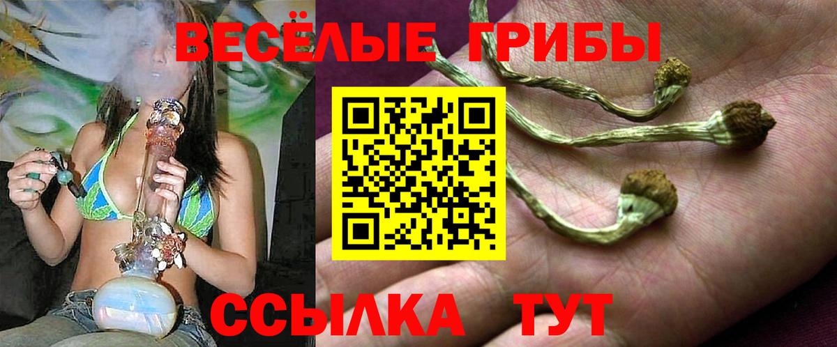 Псилоцибиновые грибы мицелий Рубцовск