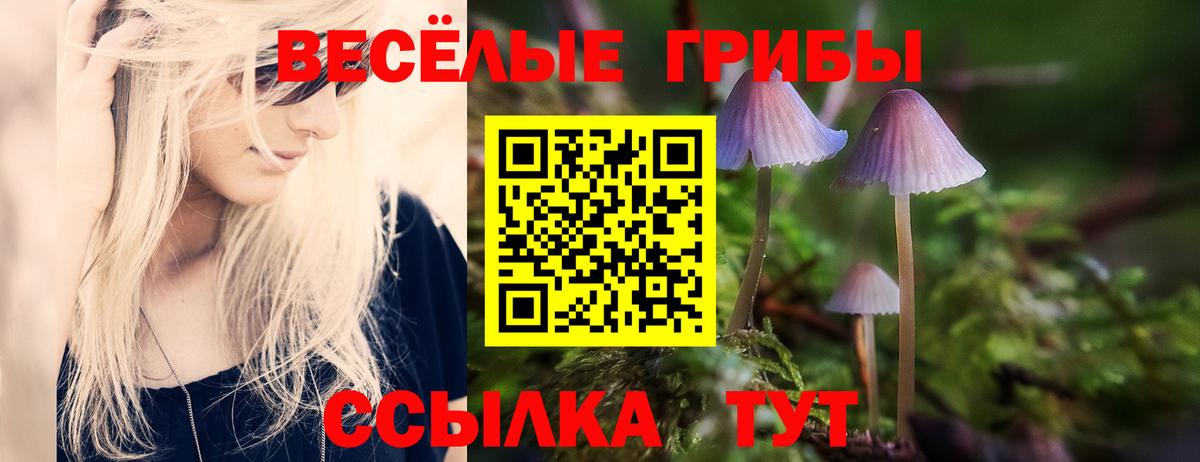 Псилоцибиновые грибы прущие грибы  Вход с VPN  Рубцовск 